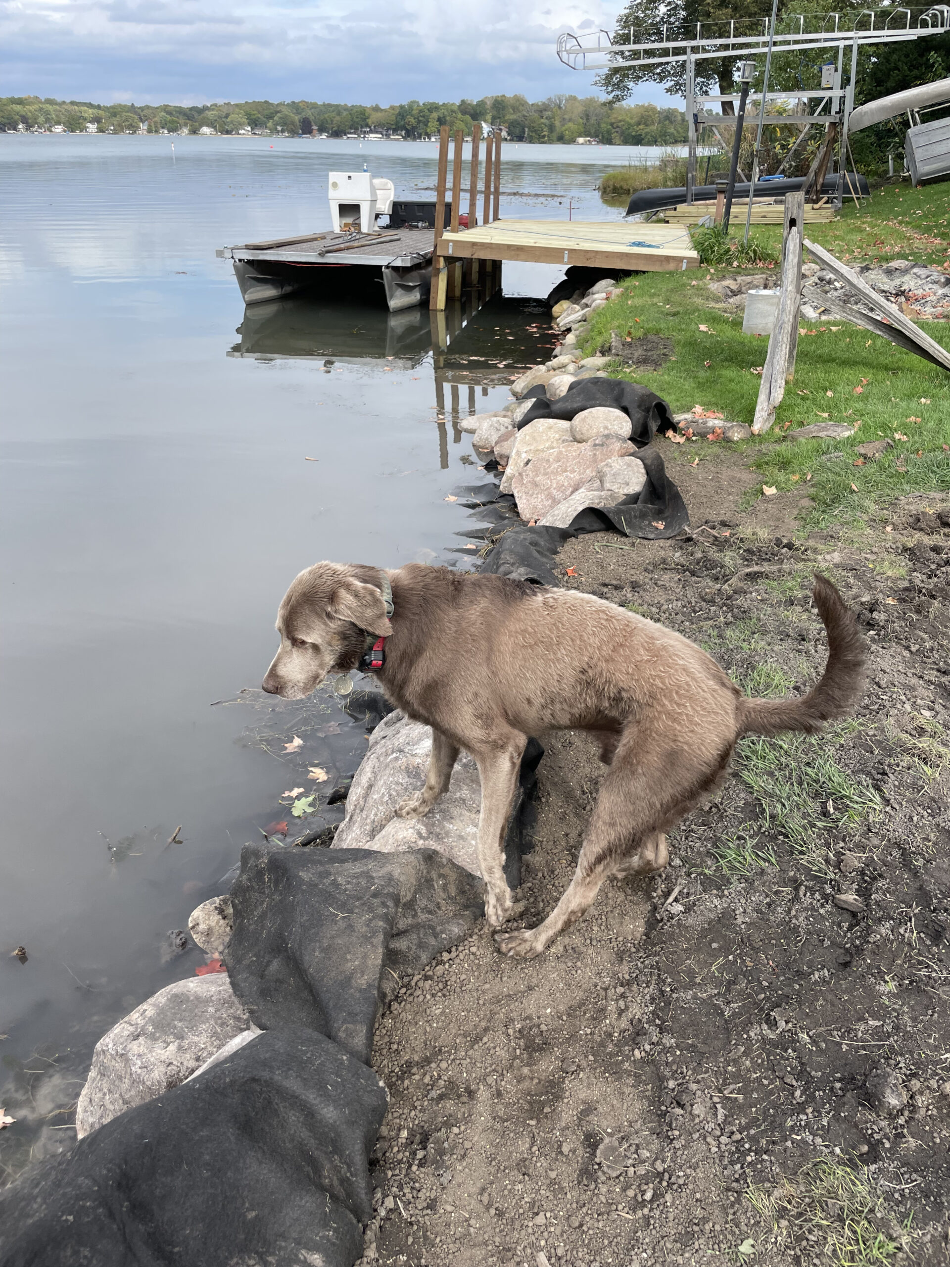 Burglington-Shoreline-Renovation-6476 Burlington Shoreline Renovation