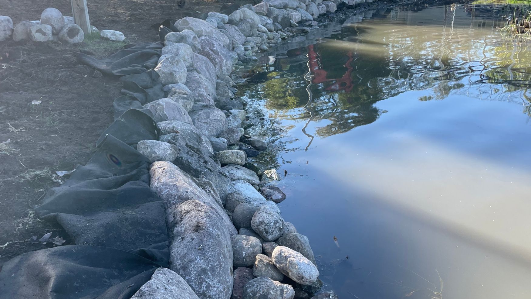 Floral Landscape Design